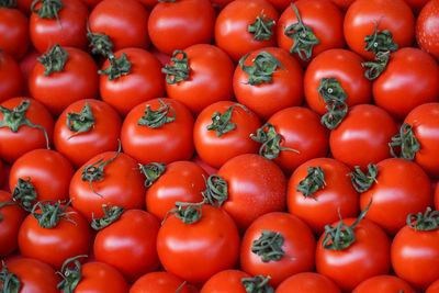 Full frame shot of organic tomatoes at market stall