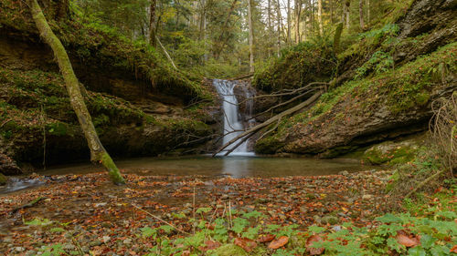 Waterfall in forest