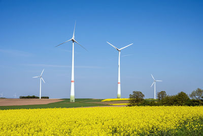 Scenic view of agricultural field against clear blue sky