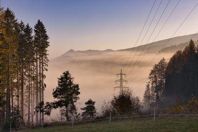 Trees on landscape against sky