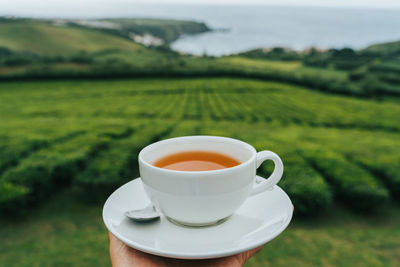Cup of tea on field