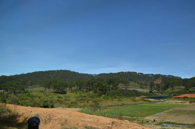 Scenic view of trees on field against blue sky