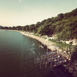 Scenic view of sea with trees in background