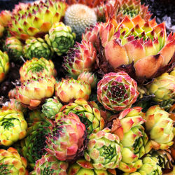 Full frame shot of fruits for sale in market