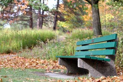 Close-up of bench