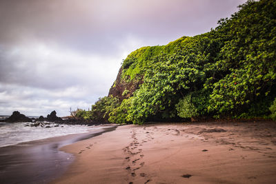 Scenic view of beach against sky