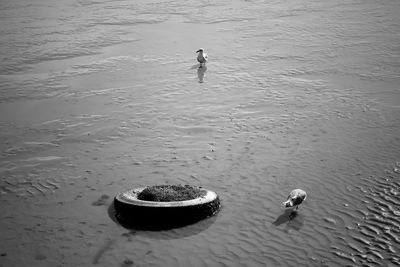 Reflection of people in water