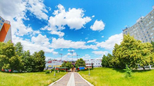 Footpath in garden against blue sky