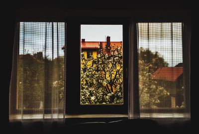 Building seen through glass window