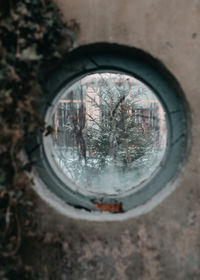 Reflection of trees on glass window