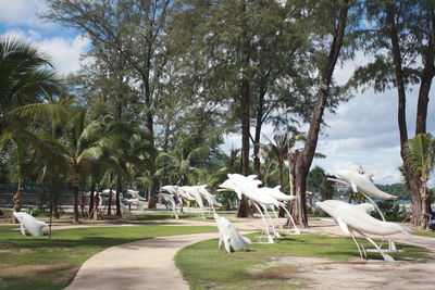 View of swan and trees against sky