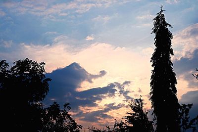 Silhouette trees against sky during sunset