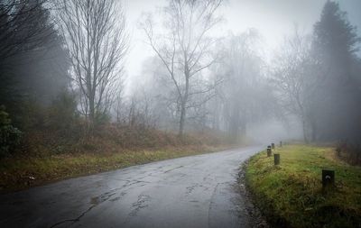 Road amidst trees against sky during foggy weather