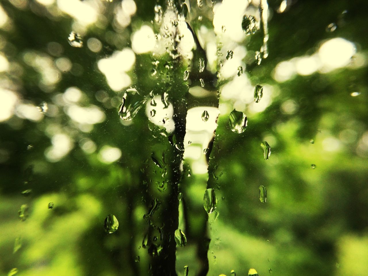 drop, water, wet, rain, focus on foreground, close-up, raindrop, weather, transparent, glass - material, monsoon, selective focus, season, reflection, rainy season, window, indoors, day, full frame, no people