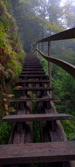 Wooden bridge in forest