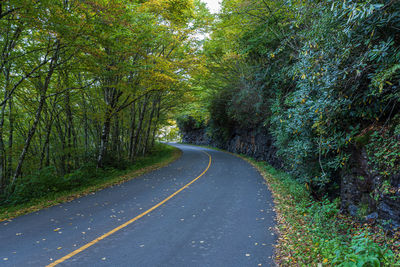 Road amidst trees in forest