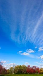 Low angle view of trees against cloudy sky