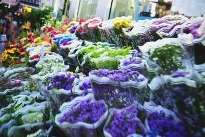 Close-up of flowers for sale in store