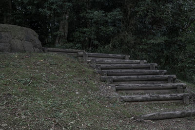 Staircase in forest