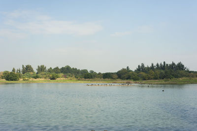 Scenic view of lake against sky