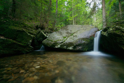 Stream flowing through rocks in forest