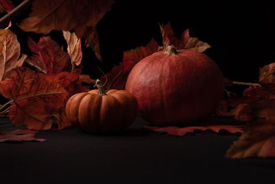 Close-up of pumpkins on table against black background