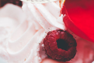 Close-up of raspberry on dessert