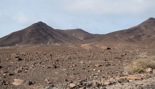 Fuerteventura island 