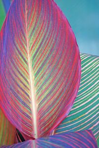 Close-up of multi colored umbrella against blue sky