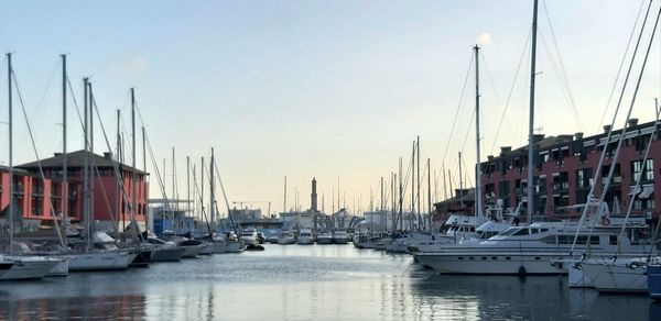 Sailboats moored at harbor