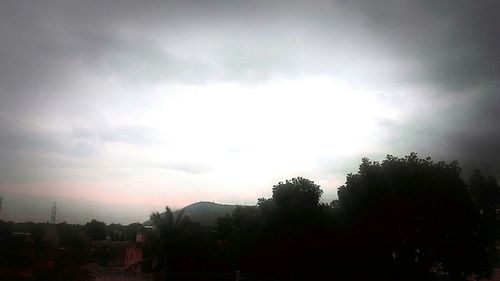 Trees against cloudy sky