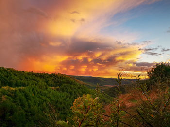 Scenic view of field against sky during sunset