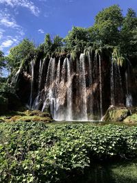 Scenic view of waterfall against trees