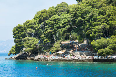 Scenic view of adriatic sea against trees at cavtat