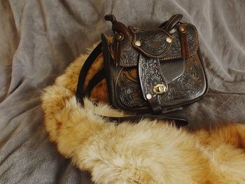 High angle view of dog