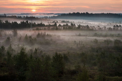 Trees on landscape against sky during sunset