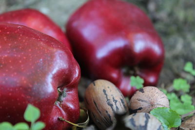Close-up of red fruit