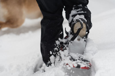 Low section of man wearing snowshoe while walking on snow field