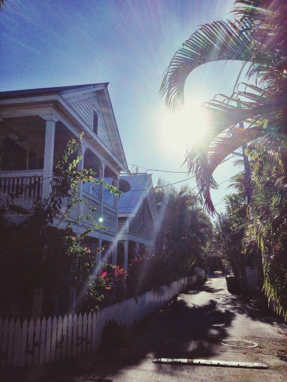 architecture, building exterior, built structure, sunlight, tree, the way forward, sun, sky, sunbeam, building, city, street, residential building, house, lens flare, residential structure, sunny, walkway, footpath, palm tree