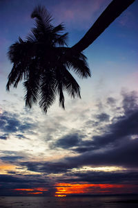 Low angle view of silhouette palm trees against sky during sunset