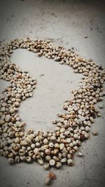 High angle view of shells on sand