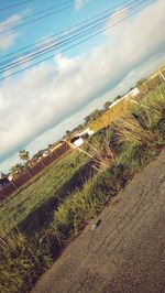 Close-up of agricultural field against sky