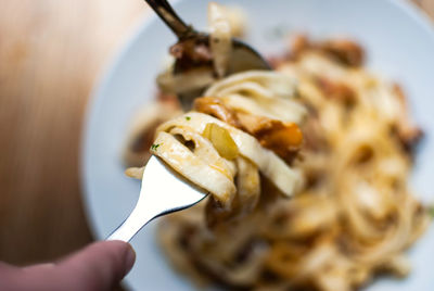 Close-up of person holding fork with spaghetti