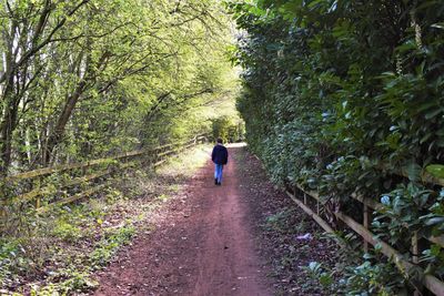 Rear view of woman walking on footpath amidst trees in forest