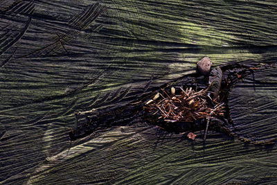 High angle view of bird on lake