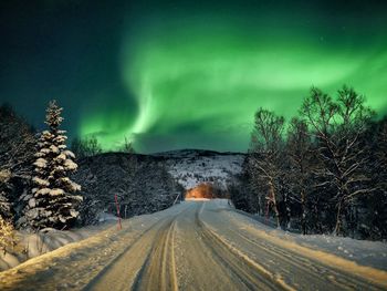 Road amidst trees against sky during winter