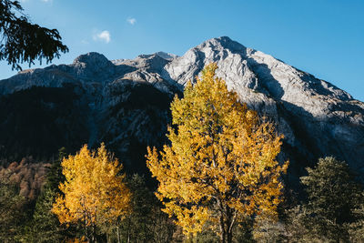 Scenic view of mountain against sky during autumn