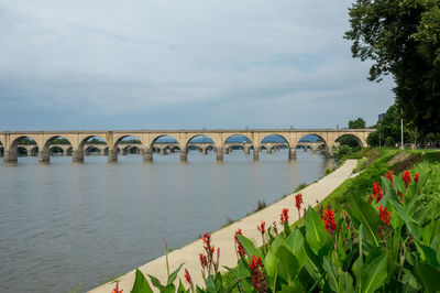 Scenic view of bridge against sky