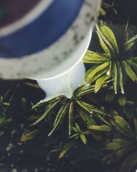 Close-up of drink at night