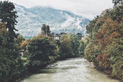 River amidst trees and buildings against sky